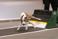 IMG_6011