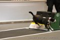 IMG_6018