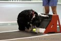 IMG_6077