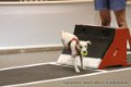 IMG_6090