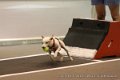IMG_6091