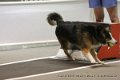 IMG_6092