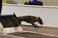 IMG_6193