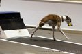 IMG_6197