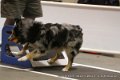 IMG_6213