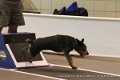 IMG_6222
