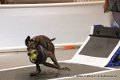 IMG_6275