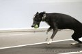 IMG_6276