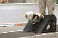 IMG_6482