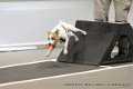 IMG_6485