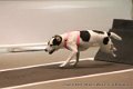 IMG_6488