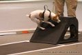 IMG_6493