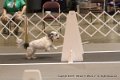 IMG_6522