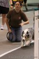 IMG_6551