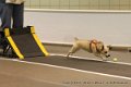 IMG_6565