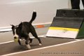 IMG_6577