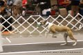 IMG_6588
