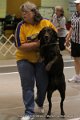 IMG_6642