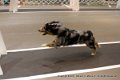 IMG_6931