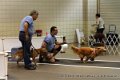 IMG_6951