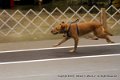 IMG_6956