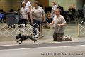 IMG_6989