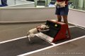 IMG_7220