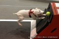 IMG_7237
