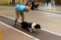 IMG_7272