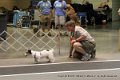 IMG_7539