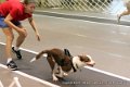 IMG_7676