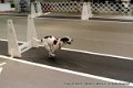 IMG_7759