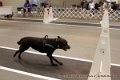 IMG_7832