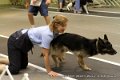 IMG_7853