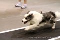 IMG_7856