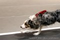 IMG_7864