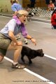 IMG_7921