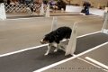 IMG_8000