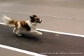 IMG_8028