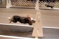 IMG_8051