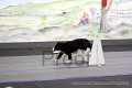 IMG_6601