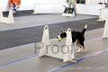 IMG_6615