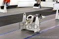 IMG_6620