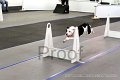 IMG_6655