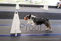 IMG_6757