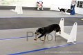 IMG_6780