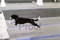 IMG_6816