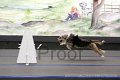 IMG_6863