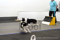 IMG_7057