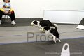 IMG_7058